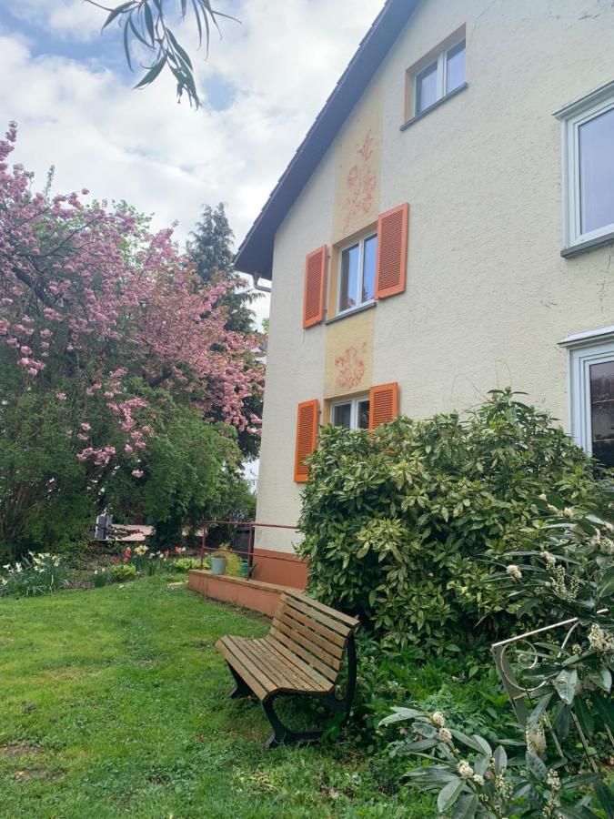 Apartament Blumenblick Рилазинген-Ворблинген Экстерьер фото